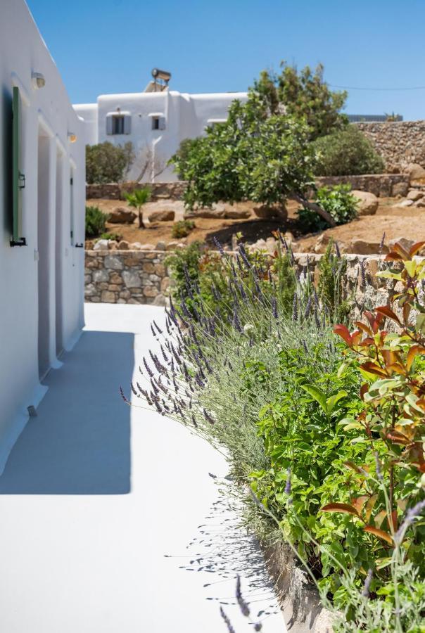 Dioni Villa Mykonos Paraga  Buitenkant foto
